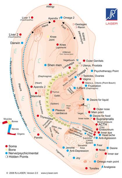 Ohrkarte von RJ-LASER Ohrkarte von RJ-LASER